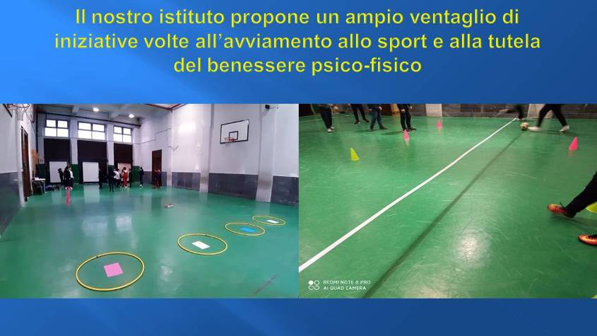 Diapositiva3